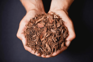 Pine Bark Mulch; How To Grow Azaleas