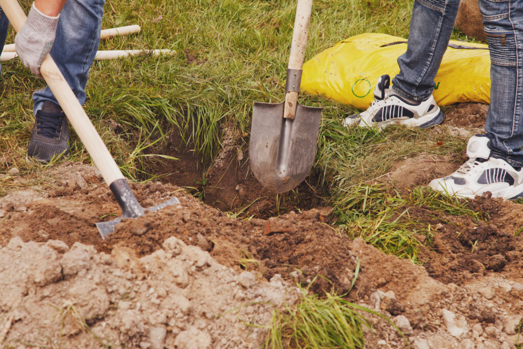 Two people dig a hole to plant a tree.